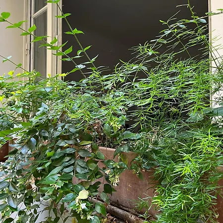 Comme Petite Maison Apartment