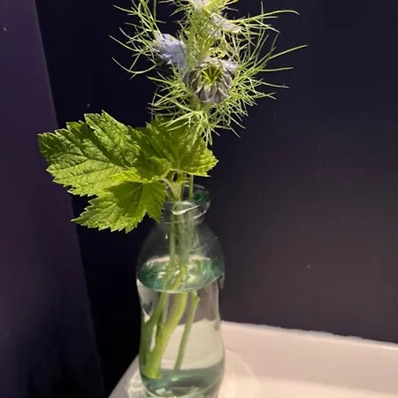 Comme Petite Maison דירה