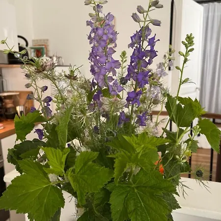 Comme Petite Maison Daire Paris