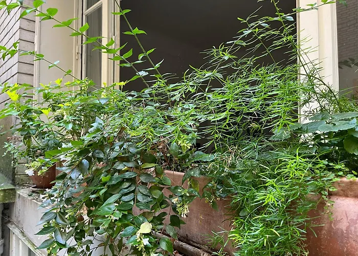 Comme Petite Maison דירה