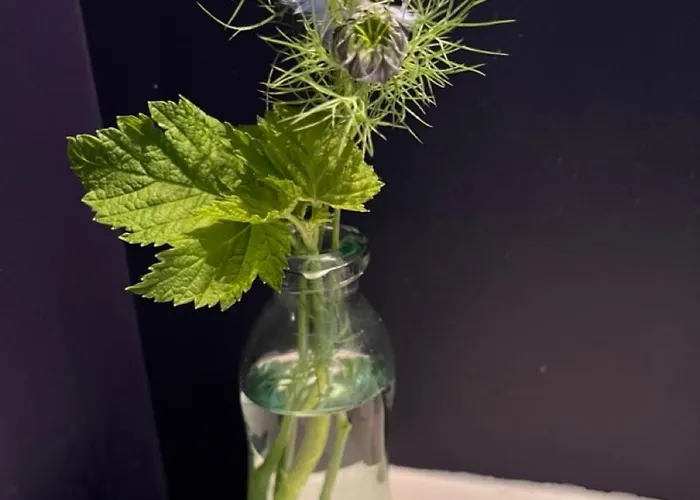 Comme Petite Maison דירה